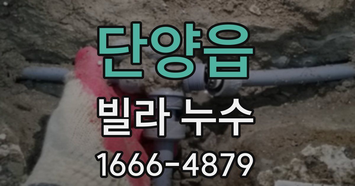 단양읍 빌라 누수