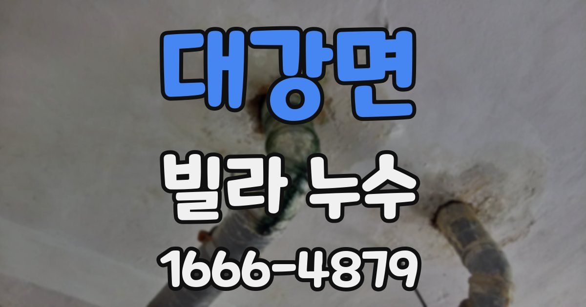 대강면 빌라 누수
