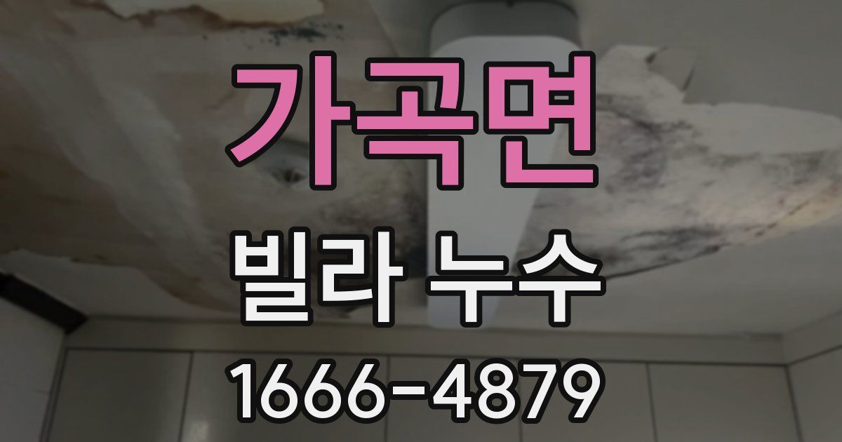 가곡면 빌라 누수