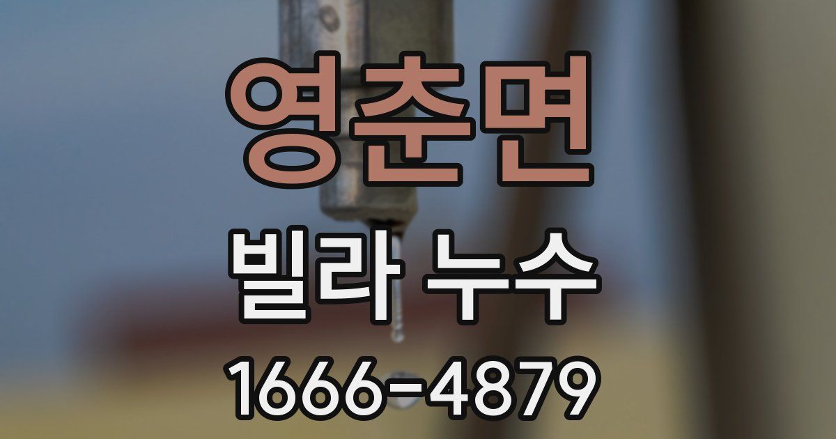 영춘면 빌라 누수