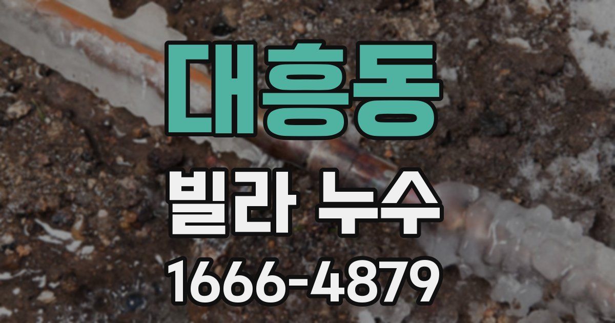 대흥동 빌라 누수