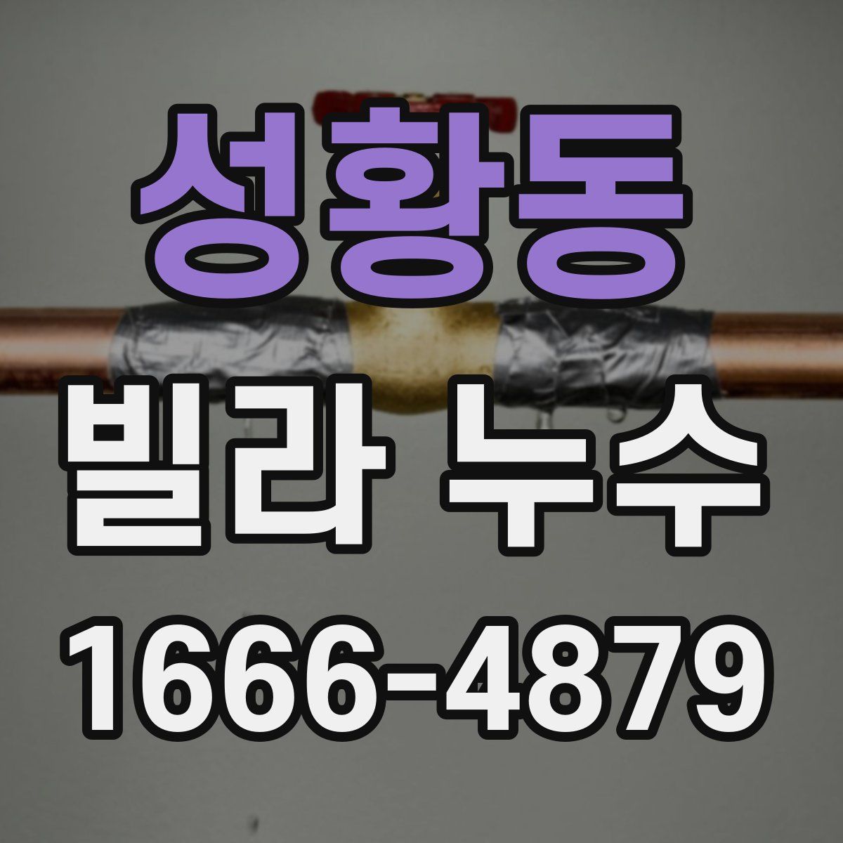 성황동 빌라 누수