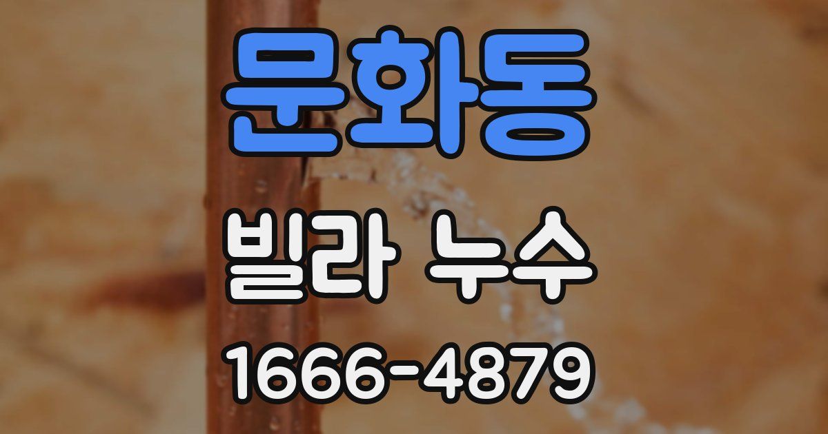 문화동 빌라 누수