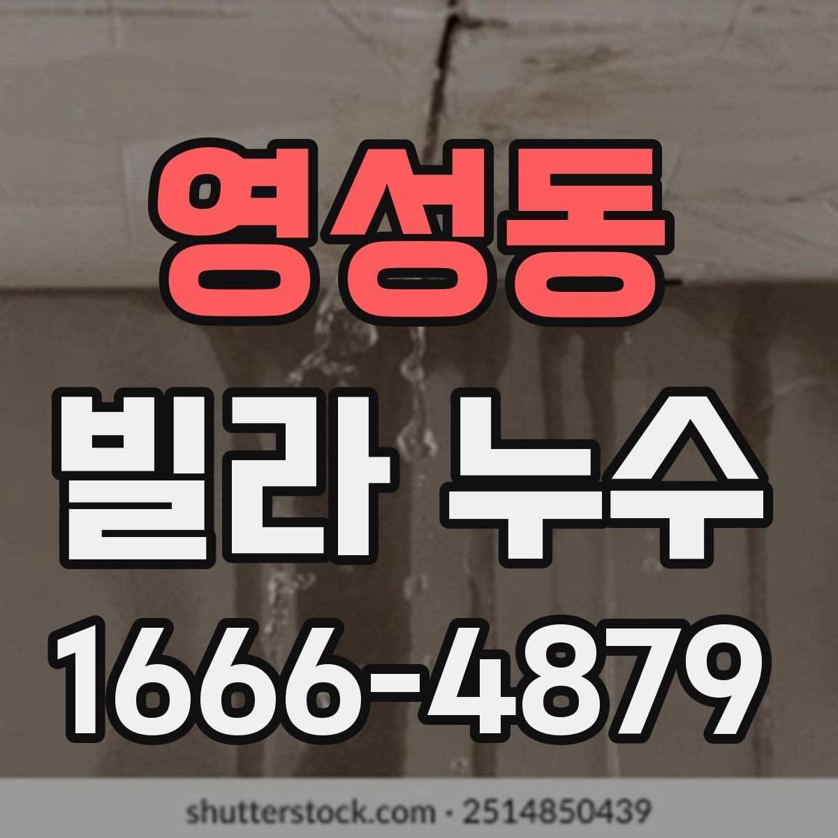 영성동 빌라 누수