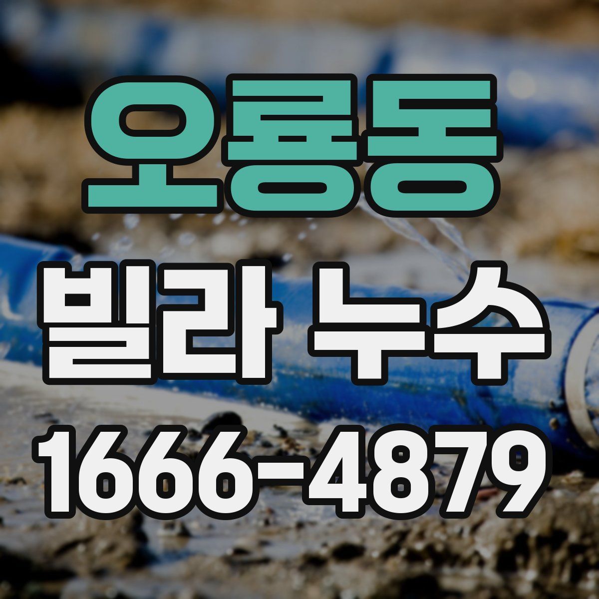 오룡동 빌라 누수