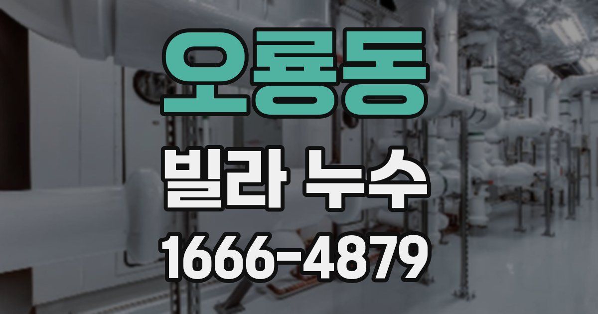 오룡동 빌라 누수