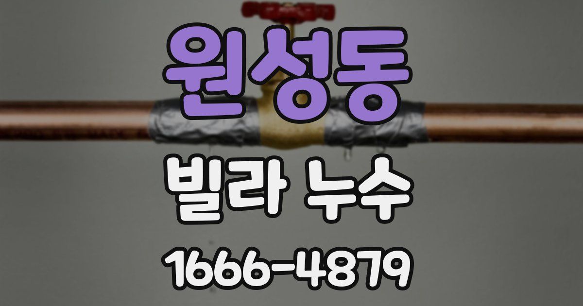 원성동 빌라 누수