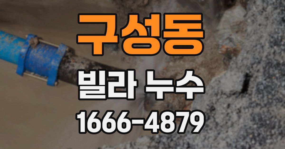 구성동 빌라 누수