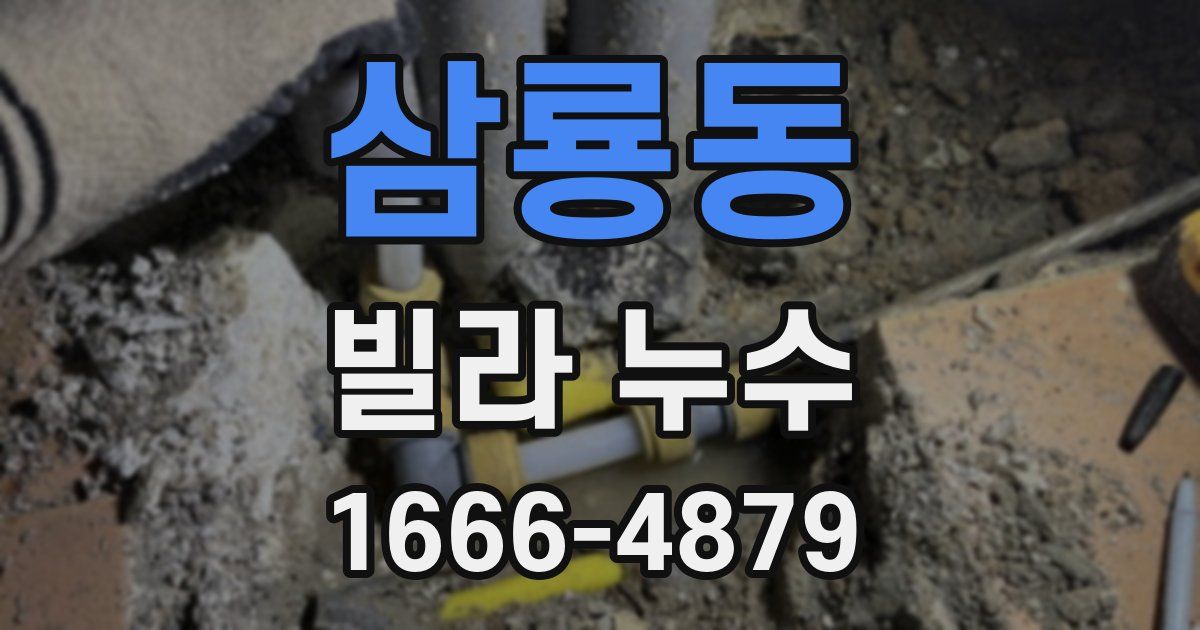 삼룡동 빌라 누수