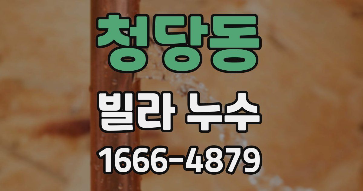 청당동 빌라 누수