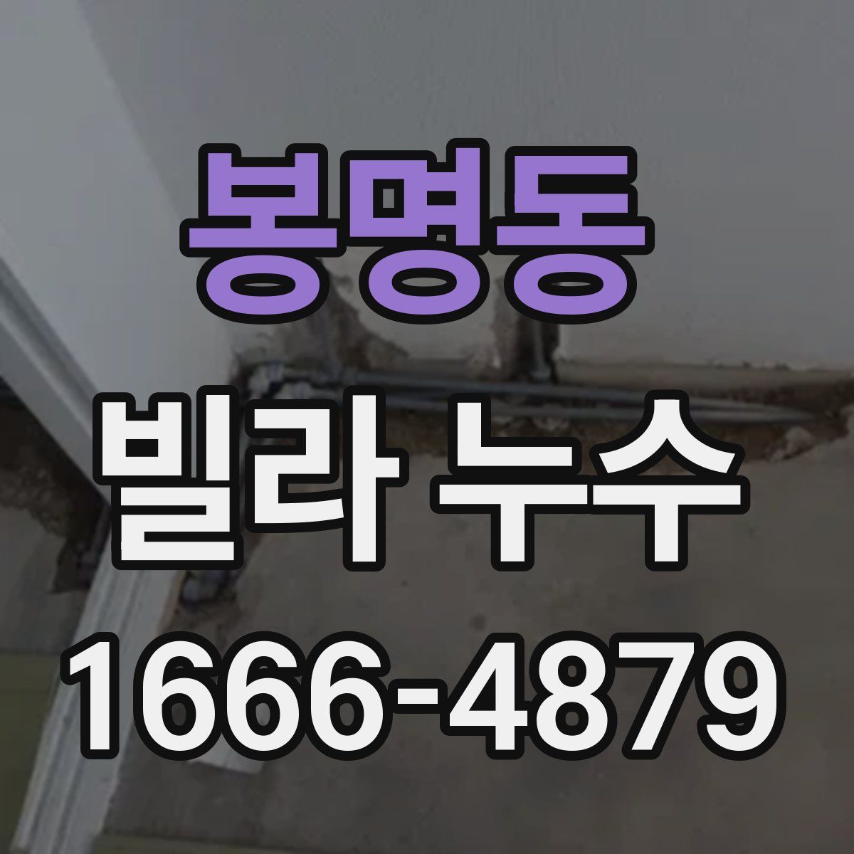 봉명동 빌라 누수