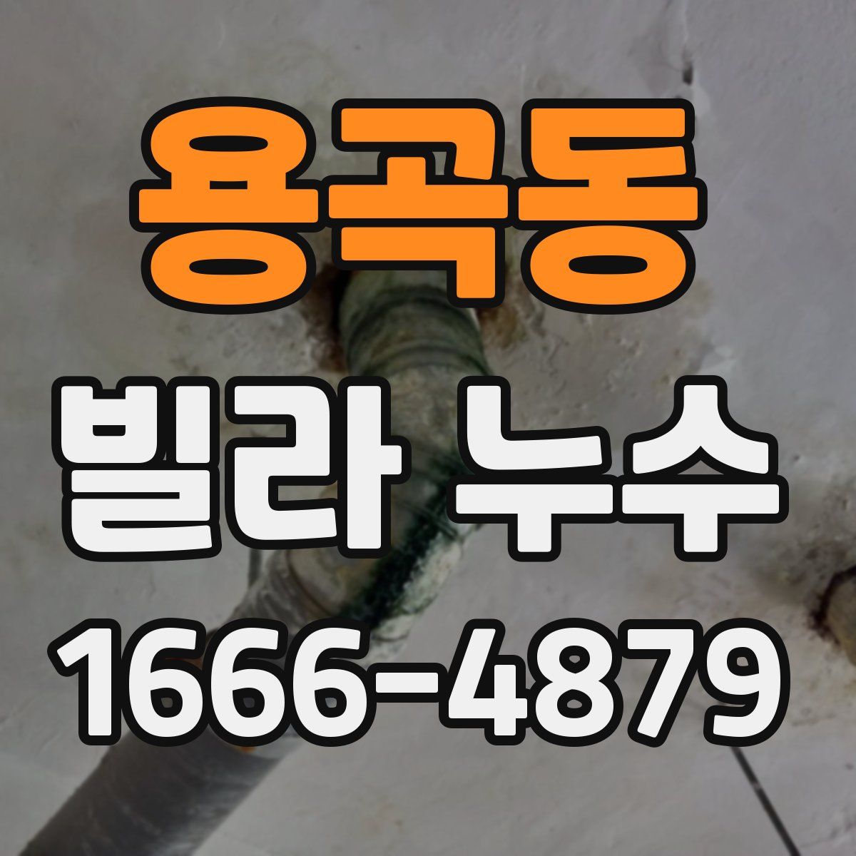 용곡동 빌라 누수