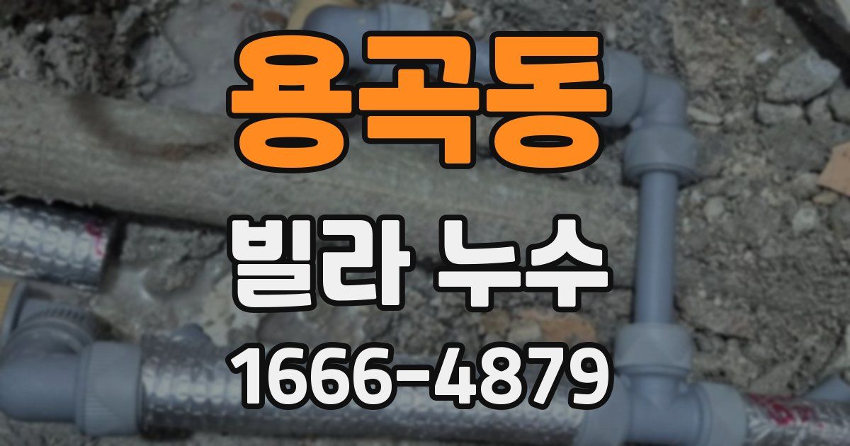 용곡동 빌라 누수