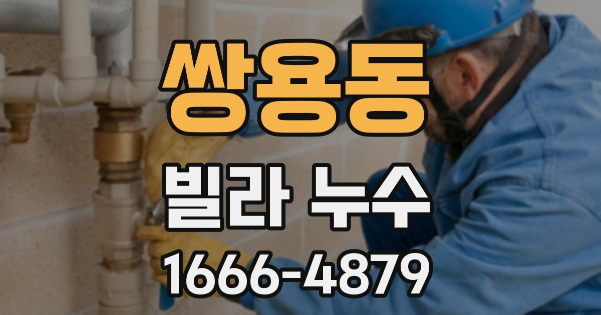 쌍용동 빌라 누수