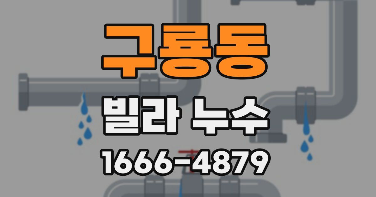 구룡동 빌라 누수