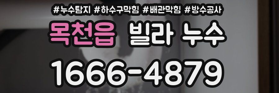 목천읍 빌라 누수