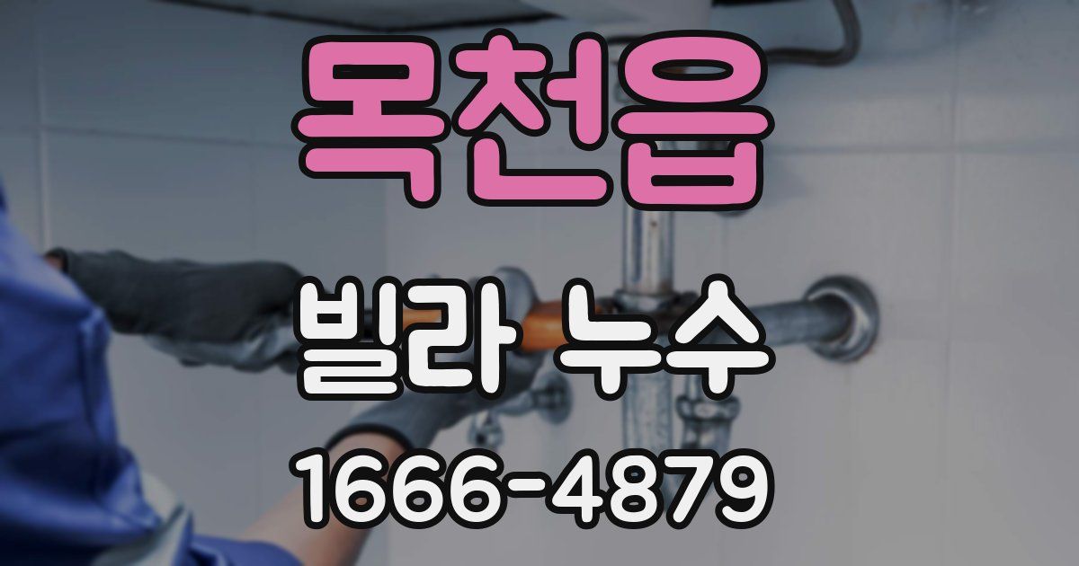 목천읍 빌라 누수