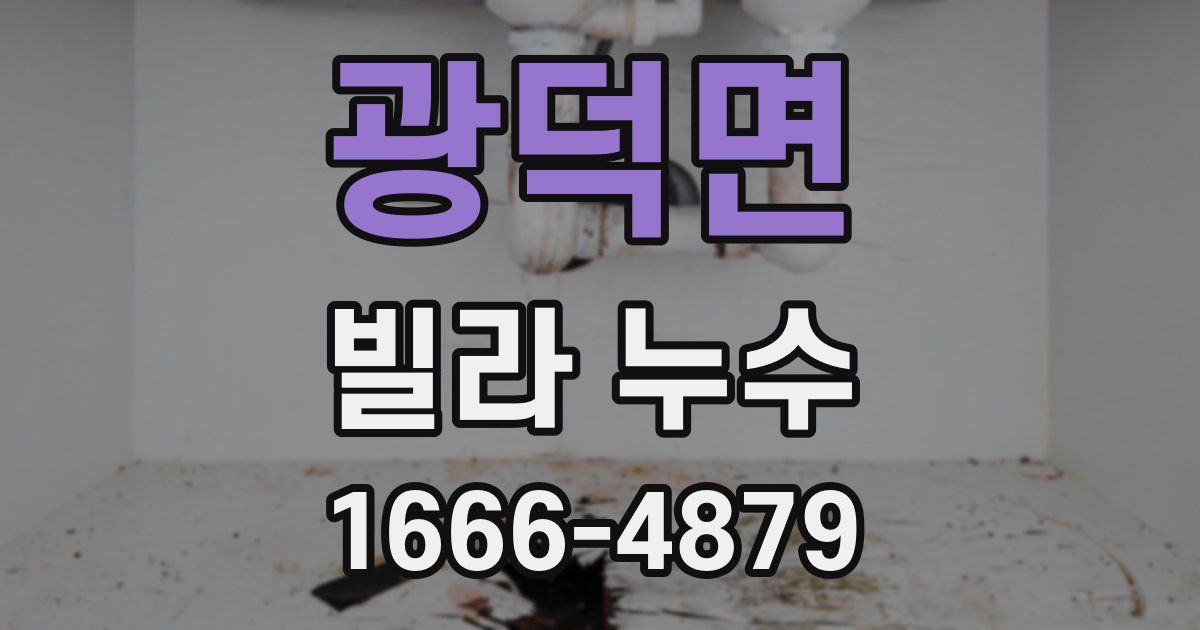광덕면 빌라 누수