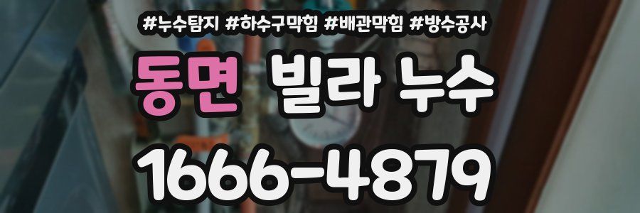 동면 빌라 누수