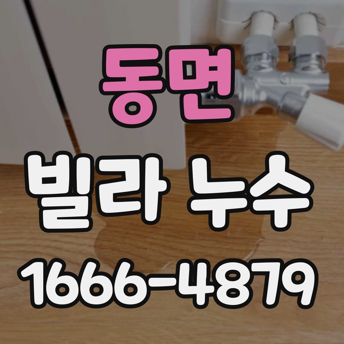 동면 빌라 누수