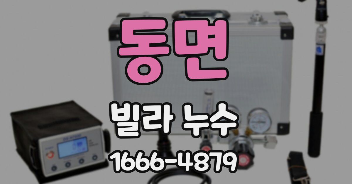 동면 빌라 누수