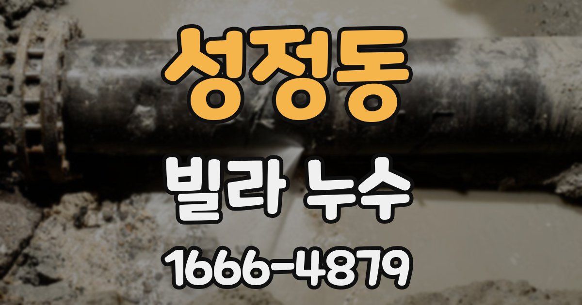성정동 빌라 누수