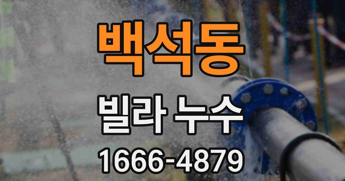 백석동 빌라 누수