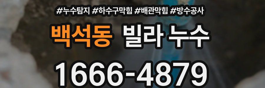 백석동 빌라 누수