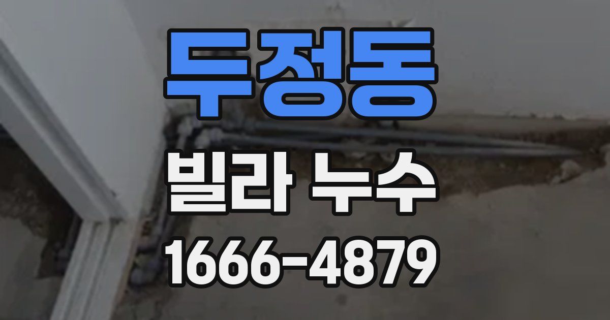 두정동 빌라 누수