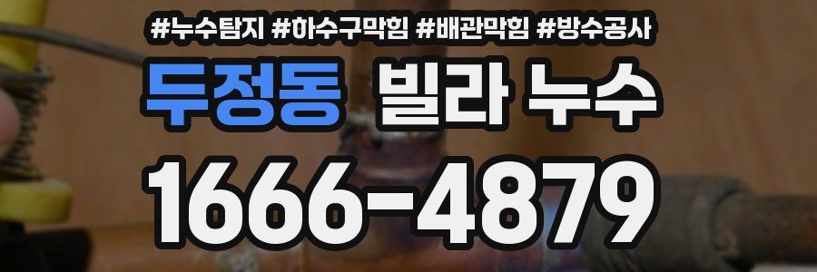 두정동 빌라 누수