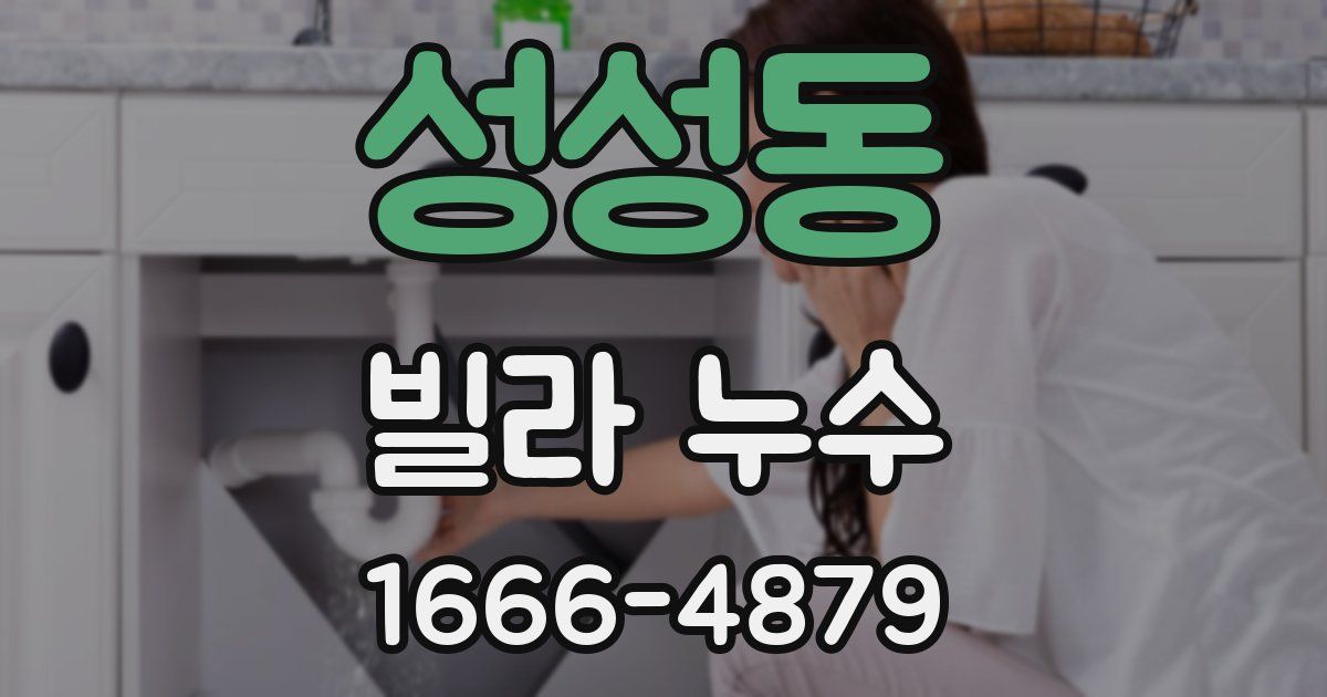 성성동 빌라 누수