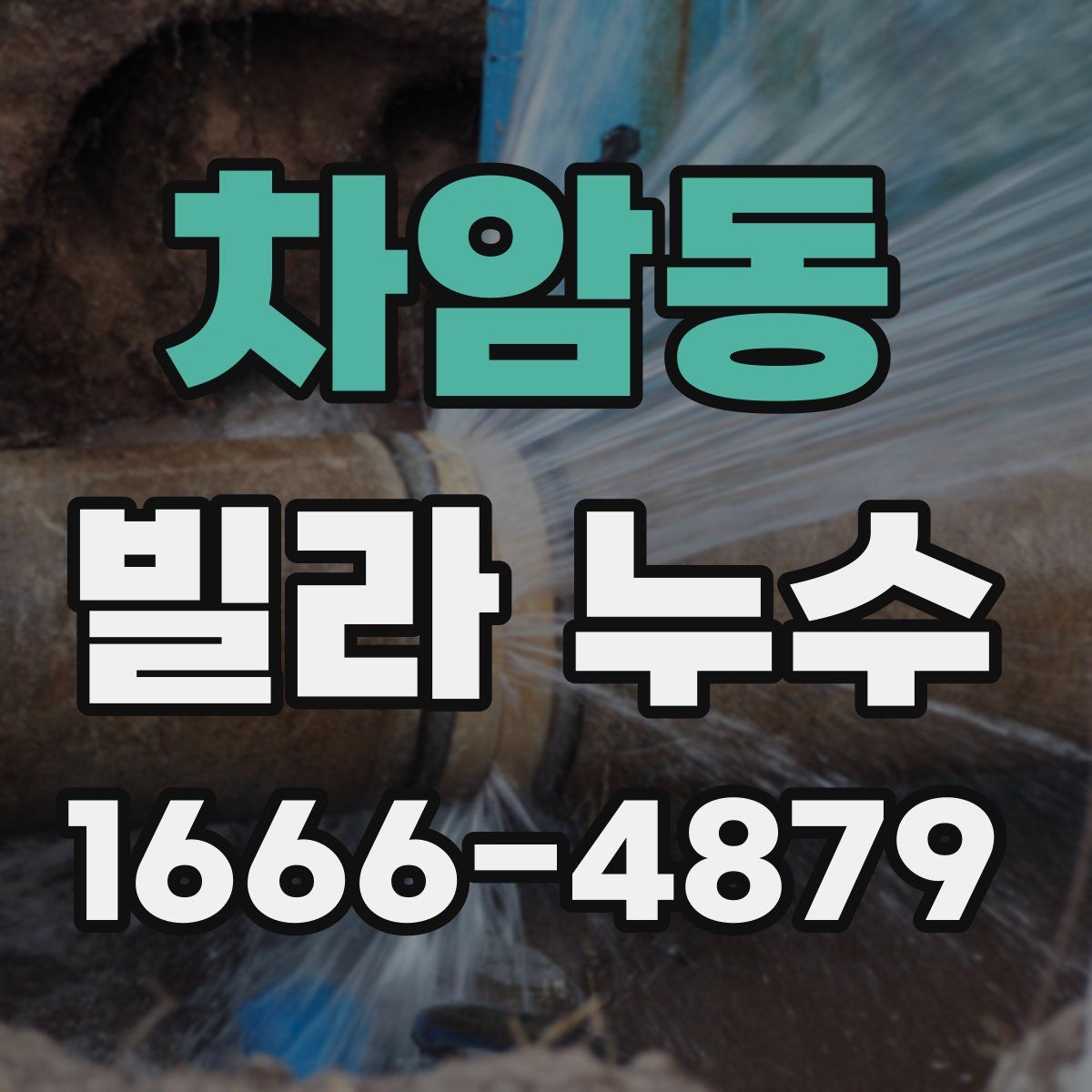 차암동 빌라 누수