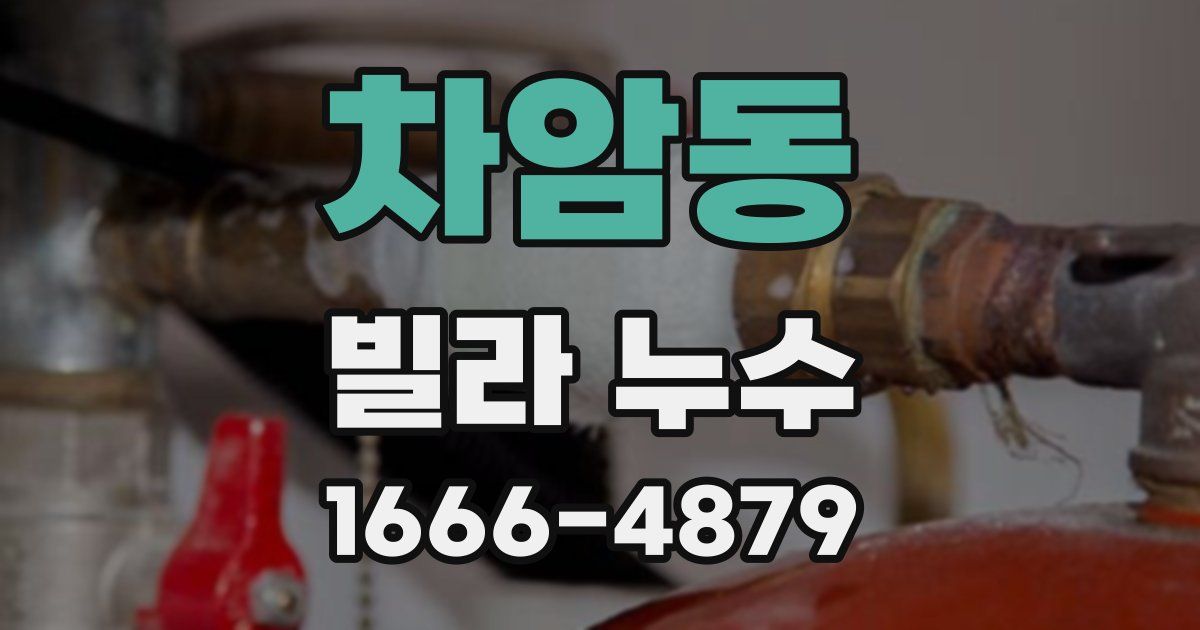 차암동 빌라 누수