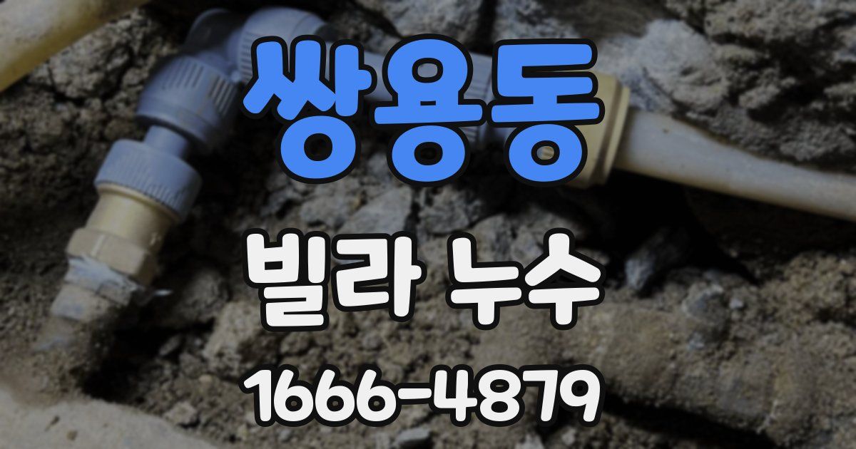 쌍용동 빌라 누수