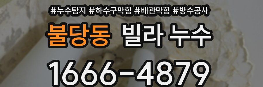 불당동 빌라 누수