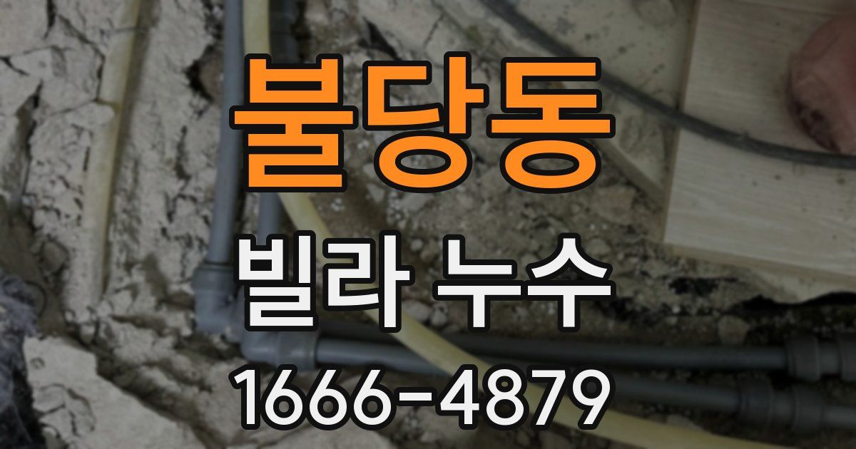 불당동 빌라 누수