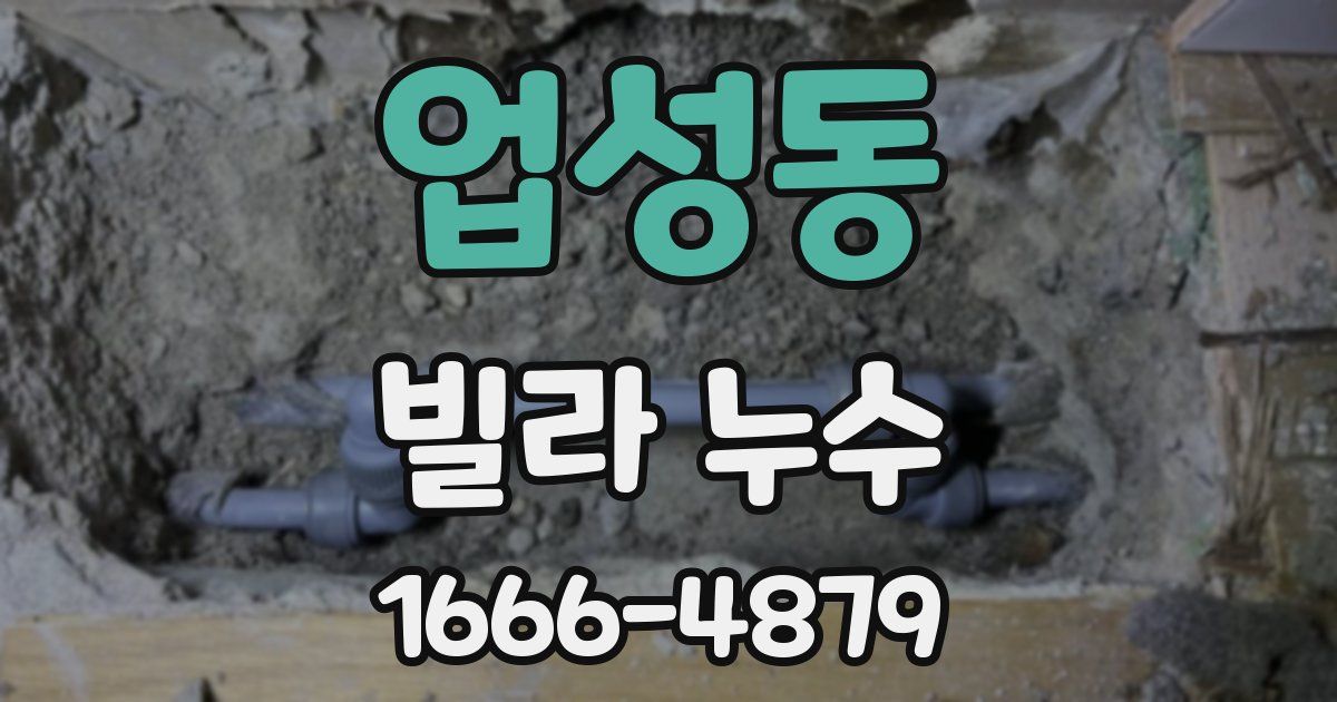 업성동 빌라 누수