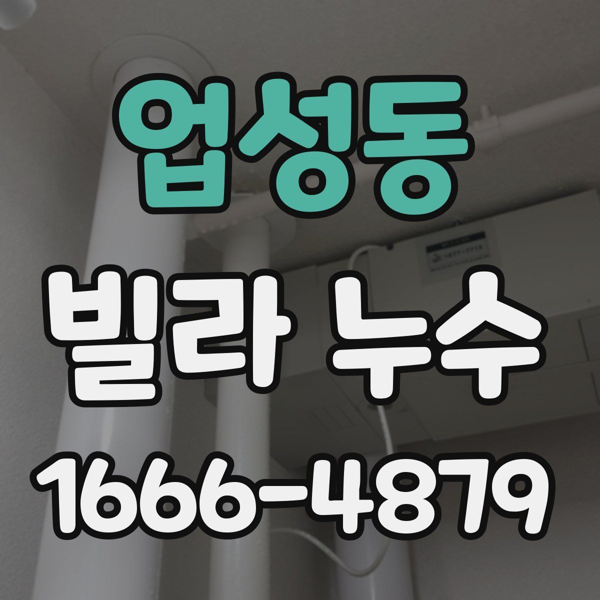 업성동 빌라 누수