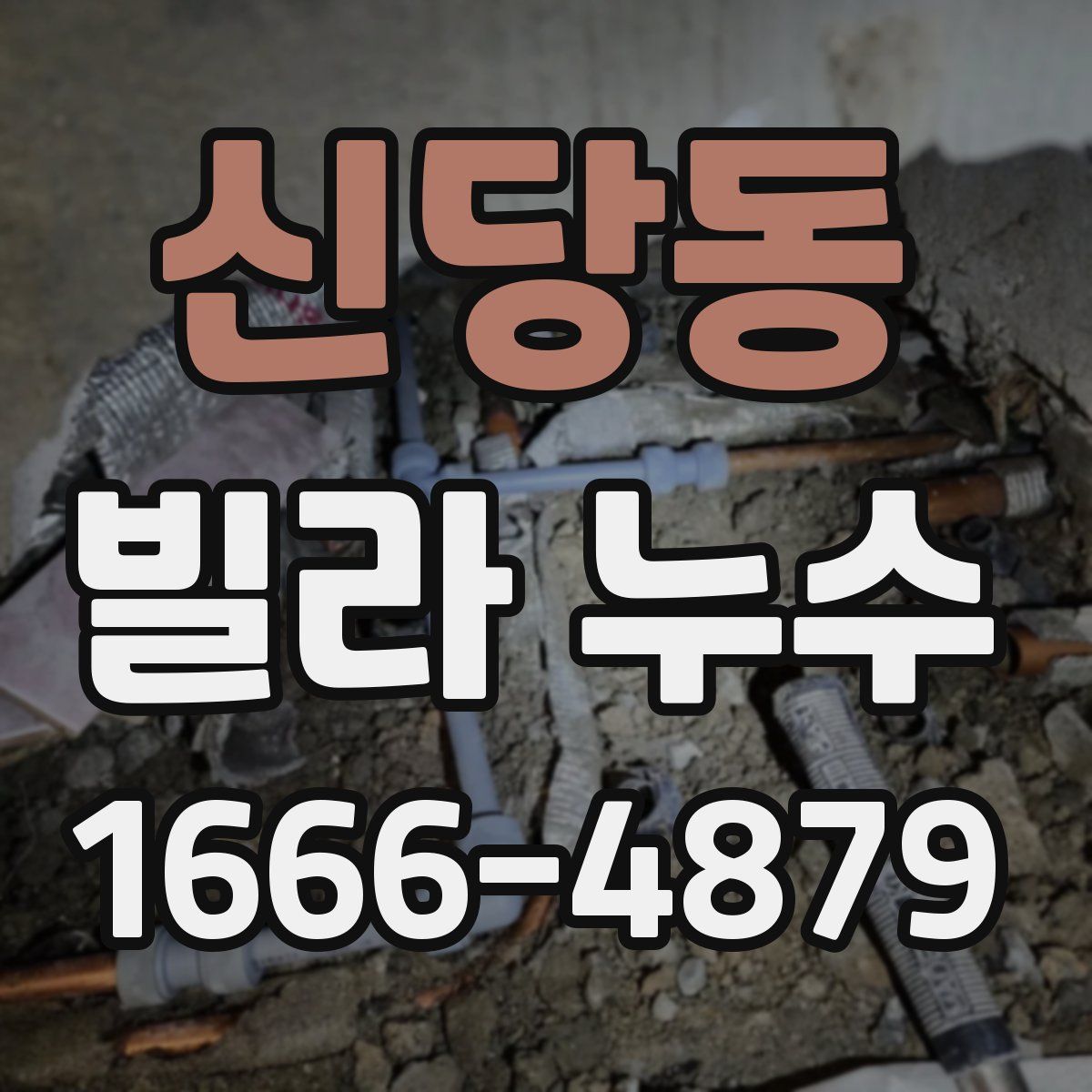 신당동 빌라 누수