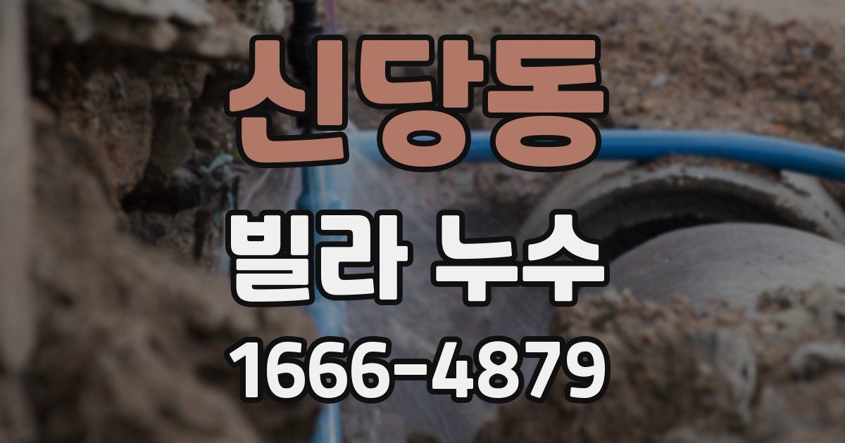 신당동 빌라 누수