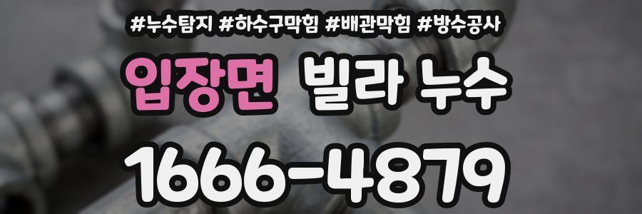 입장면 빌라 누수