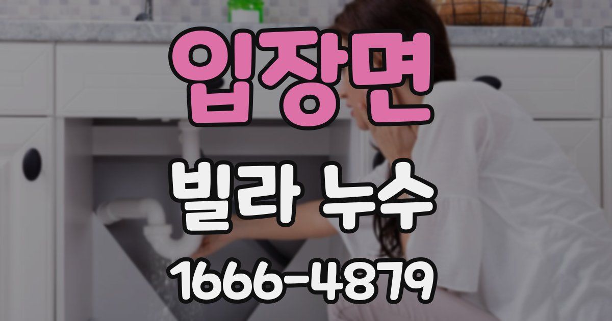 입장면 빌라 누수