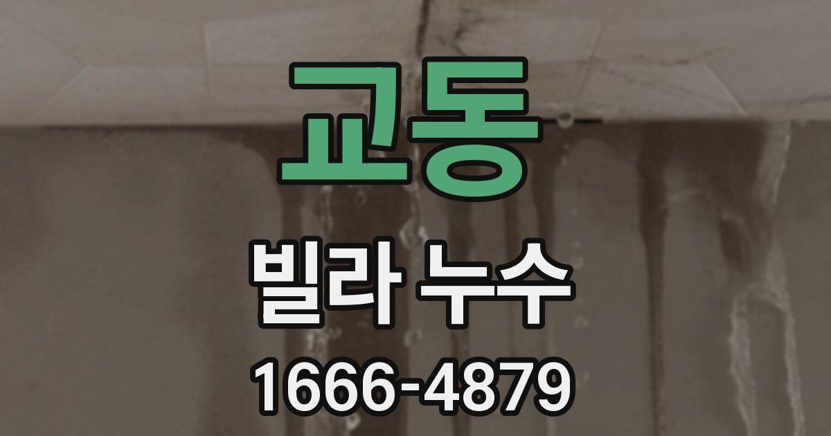 교동 빌라 누수