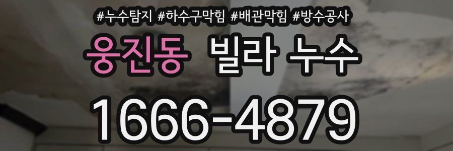 웅진동 빌라 누수