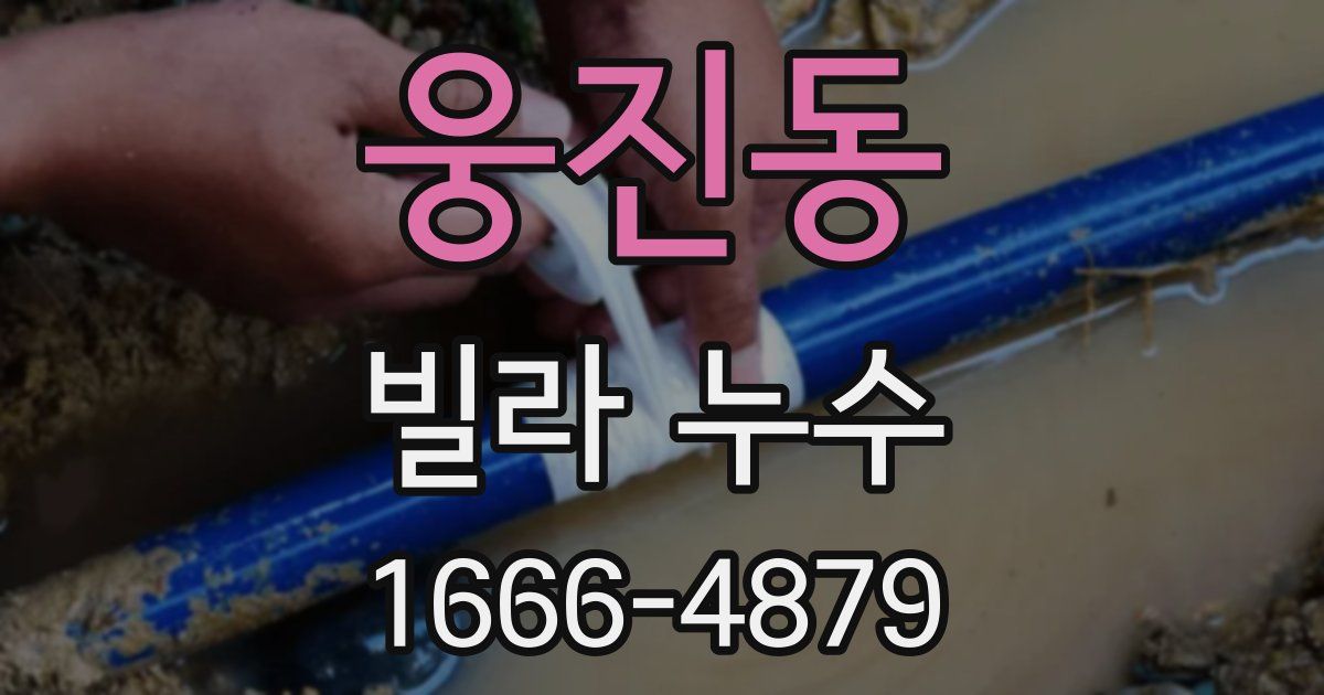 웅진동 빌라 누수