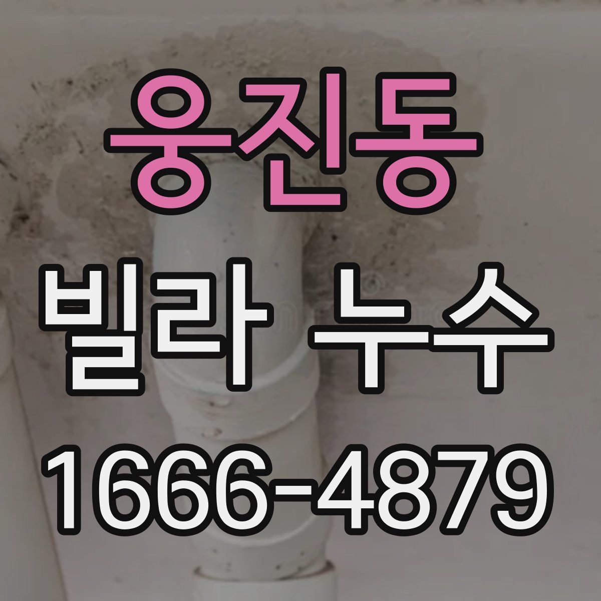 웅진동 빌라 누수
