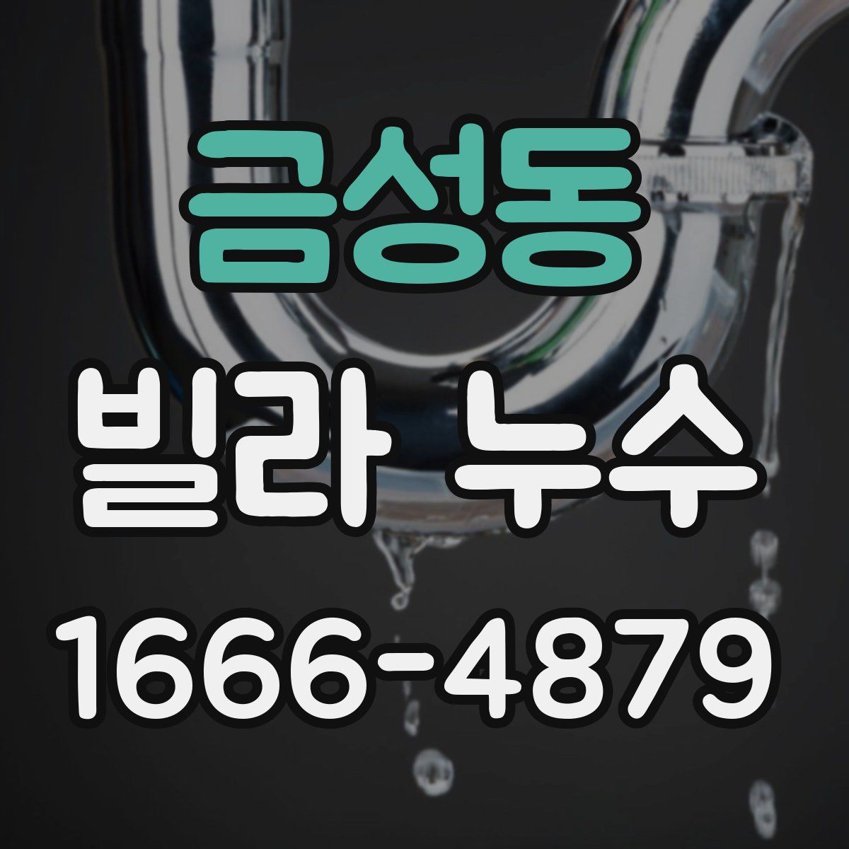 금성동 빌라 누수