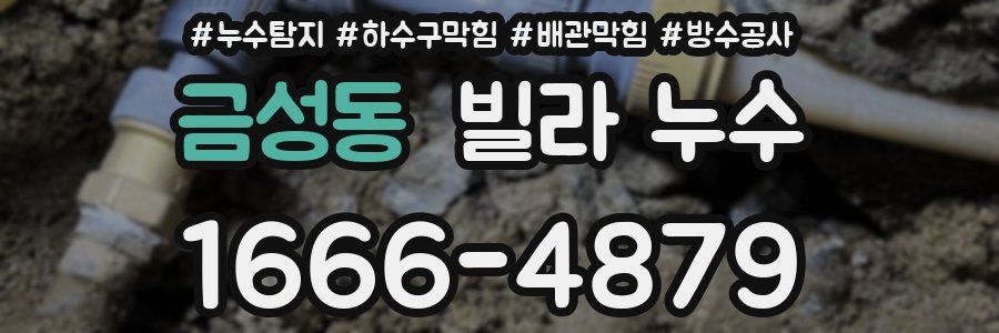 금성동 빌라 누수