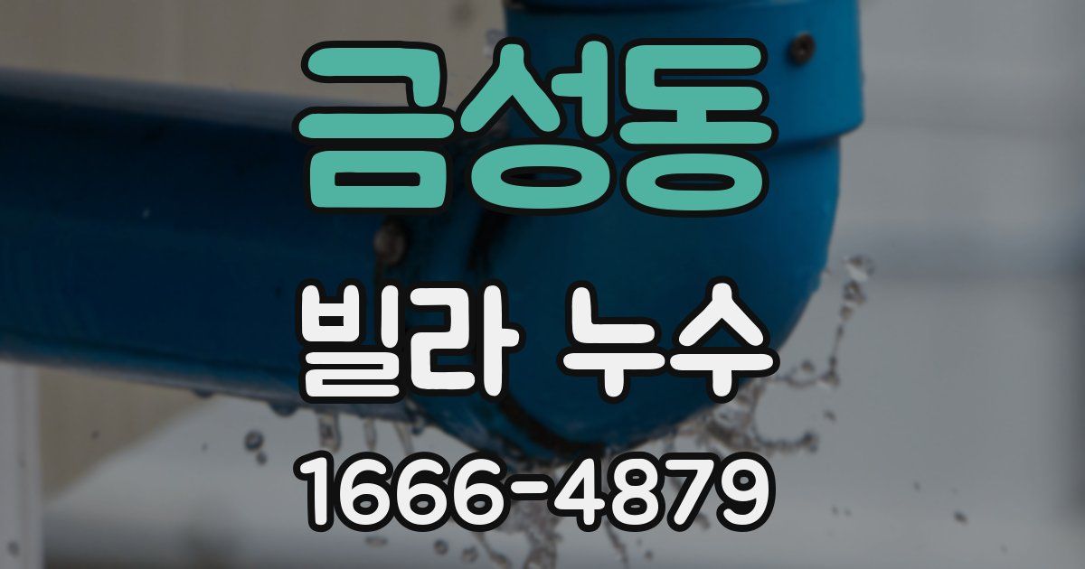 금성동 빌라 누수
