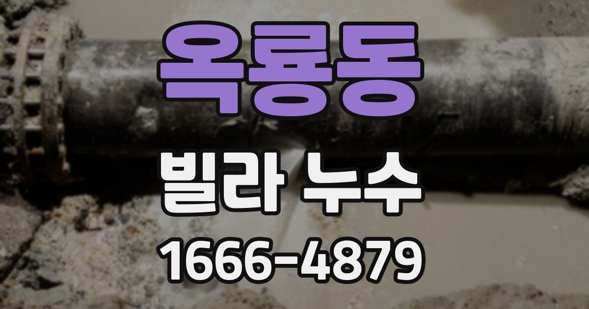 옥룡동 빌라 누수